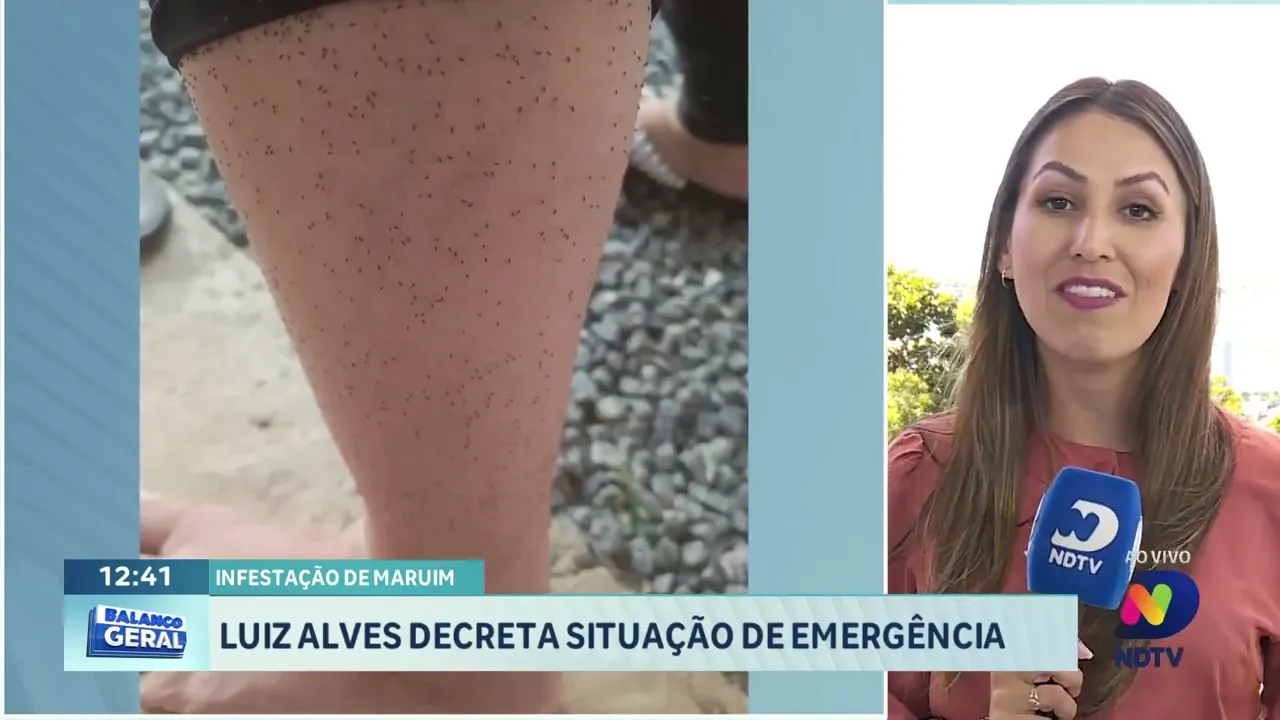 Luiz Alves em Alerta: Emergência devido à Infestação de Maruim