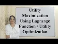 Utility Maximization Using Lagrange Function Utility Optimization