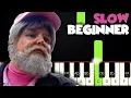 Dance Monkey - Tones and I SLOW BEGINNER PIANO TUTORIAL SHEET MUSIC by Betacustic
