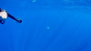 Subsistence Fishing – Living on a Boat