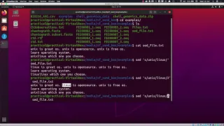Introduction to SED Stream Editor