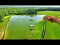 Download Lagu Adding 5,000 Jumbo Prawns to the 5 Acre Pond! (Big Surprise)
