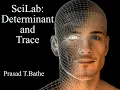 Determinant and trace of matrix using Scilab