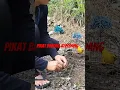 Download Lagu pikat burung kepodang emas