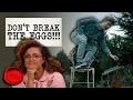 DON T Break The Eggs Full Task