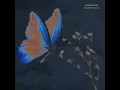 golden hour (Indian Version) - JVKE & Shirley Setia
