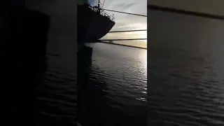 صوت الحوت الزرق في ميناء بنغازي 