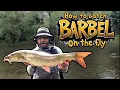 Download Lagu How to fly fish for barbel - The River Wye