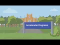 Accelerator Programs Everything You Need to Know About Accelerator Programs Startup