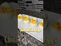 Everyone will love these Chick Deviled Eggs