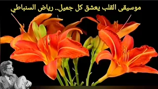 موسيقى القلب يعشق كل جميل من أروع ألحان السنباطي 