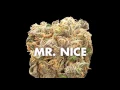 50 Different Marijuana Strains