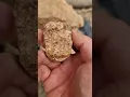 Gold Ore Looks Like This!