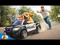 Lagu Misunderstood Puppy Did the Impossible to Earn a Toy Police Car #puppyrescue