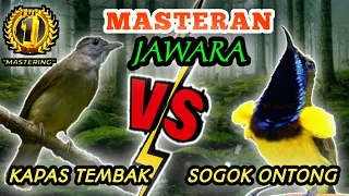 Download KAPAS TEMBAK VS SOGON MP3