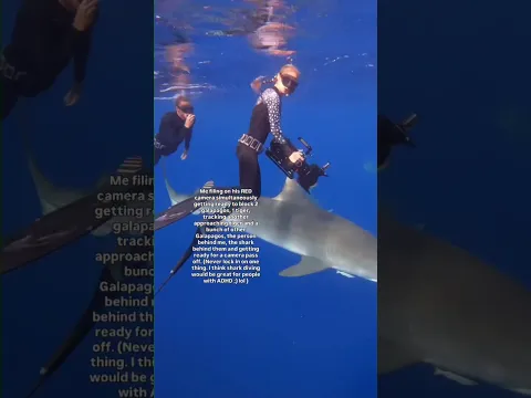 Tactical awareness #sharks #clare