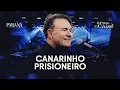 Lagu Canarinho Prisioneiro - Paraná | O Canto do Canário (Clipe Oficial)