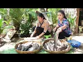 Download Lagu Mother and daughter cooking: 20kg snakehead fishes cook with 3 recipes | Snakehead fish recipes