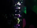 The World is Crowded UMO Live