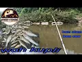 Download Lagu Kupli River 🐟🐟🎣🎣🐬🥰