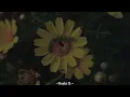 Florence Road - Caterpillar (Sub. español)