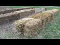 HAY BALE GARDENING Conditioning the bales The 12 day process begins Part 1 of 2