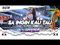 Download Lagu FREE FLM || DJ SA INGIN KAU TAU X MELODY CATUR STYLE PARTY KARNAVAL 2025