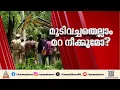 സത്യം മറ നീക്കുമോ? ചേർത്തലയിലെ സെബാസ്റ്റ്യന്റെ വീട്ടിൽ നിന്നും അസ്ഥിക്കഷ്ണങ്ങൾ കണ്ടെത്തി