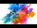 Activus Connect Readiness