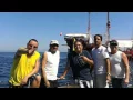 Download Lagu Gecko Band Live from Puerto Vallarta, Mexico