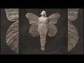 AURORA  / All My Demons Greeting Me As A Friend (Full Album)