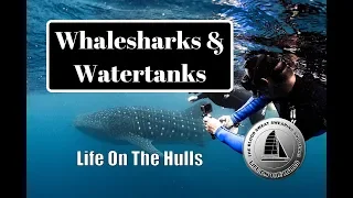 Ep076 Whalesharks and Watertanks – Life On The Hulls – Catamaran Build Series