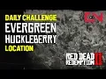 RDR2 Online - Pick 5 Evergreen Huckleberries Daily Challenge
