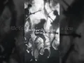 Download Lagu Avenged Sevenfold - A Little Piece of Heaven #a7x #avengedsevenfold