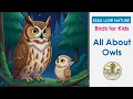 Owls for Kids Life Cycle Diet Habitat and Baby Owlet Learning Story for Kindergarten