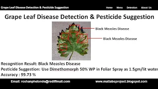Grape Leaf Disease Detection and Pesticide Suggestion Using Deep Learning Machine Learning