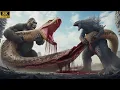 Download Lagu King Kong en Godzilla versus gigantische anacondaslangen: heldhaftig reddingsteam op Skull Island