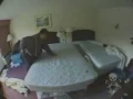 Jackass Fat Fuck / Fat Boys