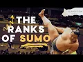 How Sumo Wrestlers are Ranked Sumo Divisions Promotions Banzuke Explained