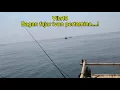 Download Lagu Mancing bagan pertamina ‼️ vila19 bagan fajar ivon#baganpertamina