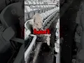 Download Lagu This Taylor Swift Fan Didn't Want To Leave The Stadium 🥹