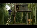 Download Lagu Built a Bamboo Treehouse with Campfire to Survive Wild Animal Attacks