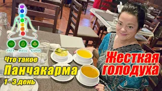 Когда голодаешь, так хочется есть! Введение в Панчакарму. Panchakarma1 3