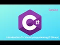 6 OOP in C Object Oriented Programming in C Introduction to Visual Programming in