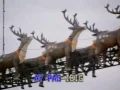 10videoke   Maligayang Pasko At Masaganang Bagong Taon PASKO NA NAMAN Album DYNAVISION 1996