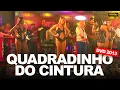Download Lagu QUADRADINHO DO CINTURA - Forró Cintura de Mola (DVD 2013 EM HD)