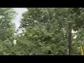 Trees blow over landing on residents cars power lines in Covington