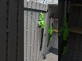 4x6 shed wall and door storage ideas