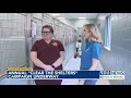 These pups from Chatham County Animal Resource Center want to join your family