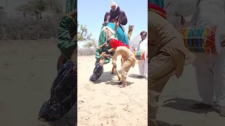 انزلاق فتاة أثناء العرض الراقص فوق الجمل وسط الطبول  دندنها